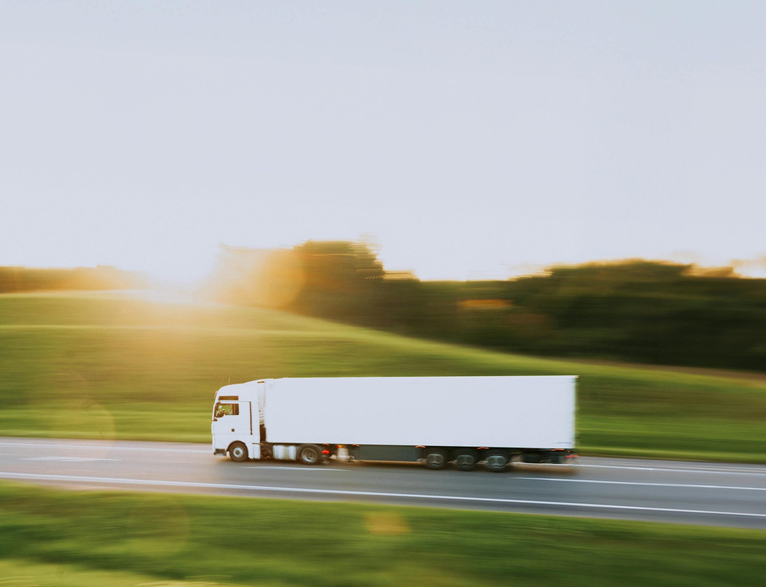 pexels-artem-balashevsky